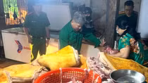 Gom thịt heo trôi nổi ôi thiu, nhiễm dịch tả lợn châu Phi về sơ chế để bán