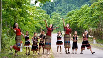Mùa trẩu trắng trên lưng trời