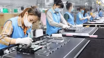 Hơn 111.800 doanh nghiệp thành lập mới và quay lại thị trường