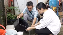 10 ca tử vong do sốt xuất huyết, lời cảnh báo với sự chủ quan