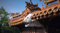 Cá chép - vượt ngược bơi xuôi...!