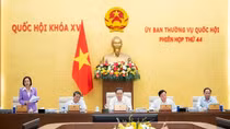 Cho ý kiến về việc thực hiện cải cách tiền lương, điều chỉnh lương hưu