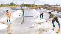Bảo đảm tuyệt đối an toàn Festival nghề muối Việt Nam lần đầu tổ chức tại Bạc Liêu
