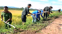Nghĩa tình La Dạ