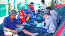 Xử lý nghiêm các hành vi vi phạm khai thác thủy sản bất hợp pháp