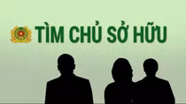 Tìm chủ sở hữu con trâu liên quan trong vụ tai nạn giao thông