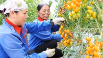 Từ 1/7 sẽ tiến hành tổng điều tra nông thôn, nông nghiệp