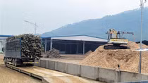 Phớt lờ lệnh cấm, nhiều cơ sở gỗ băm dăm không phép ở Hà Tĩnh vẫn hoạt động