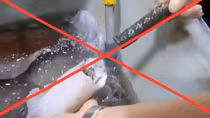 “Mực nhồi sắt” tại chợ Bình Điền là tin giả, nhằm câu view
