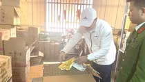 Kiểm tra công ty thương mại xuất nhập khẩu, phát hiện pháo hoa nổ