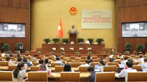 Thảo luận, cho ý kiến về các luật thuộc lĩnh vực quốc phòng, an ninh, đối ngoại, giám sát