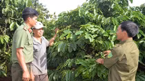 Lực lượng an ninh, trật tự cơ sở bảo vệ bình yên làng Mrông Yố 1