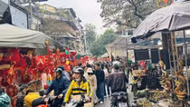 Nhộn nhịp chợ hoa xuân phố Hàng Lược