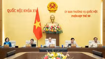 Sửa đổi Luật Xây dựng: Quy định chặt chẽ, tránh lạm dụng trong phân quyền hậu kiểm