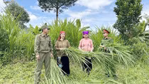 “Cánh tay nối dài” góp phần giữ bình yên bản làng