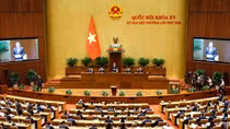 Sáng 12/2 khai mạc Kỳ họp bất thường lần thứ 9, quyết định công tác nhân sự, tổ chức bộ máy