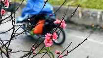 29 Tết: Miền Bắc rét đậm rét hại có mưa, Nam Bộ đêm se lạnh