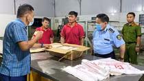 Bắt giữ, tiêu hủy hơn 100 tấn heo đông lạnh đã bốc mùi, nổi đốm trên da