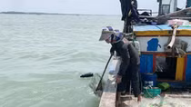 Đi biển mùa xuân