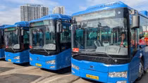 TP Hồ Chí Minh có hơn 1.000 xe buýt điện và sử dụng khí CNG