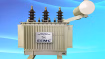 EVN khuyến cáo về tình trạng giả mạo nhãn hiệu máy biến áp EEMC trên thị trường