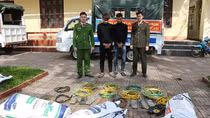 Hai đối tượng gây ra hơn 150 vụ trộm dây cáp trong vòng 20 ngày