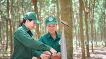 Tập đoàn Công nghiệp Cao su Việt Nam thông báo tuyển dụng
