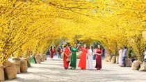 Khởi đầu của mùa xuân