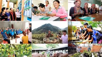 Bài cuối: Mở “cao tốc” cho kinh tế tư nhân