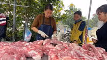 Giá lợn hơi miền Bắc tiếp đà giảm nhẹ