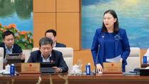 Thông qua nguyên tắc các Nghị quyết về giám sát, khiếu nại tố cáo
