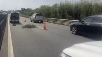 Phát hiện thi thể người đàn ông mang quốc tịch Malaysia trên cao tốc Trung Lương - Mỹ Thuận