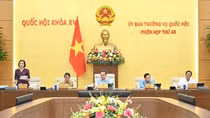 Đề xuất nghiên cứu một bộ sách giáo khoa dùng chung, từng bước miễn phí sách giáo khoa
