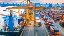 Gần 500 container chè Việt bị ách tắc tại cảng nước ngoài, Bộ Công Thương vào cuộc hỗ trợ