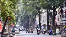 Nghe cây sao kể chuyện phố, chuyện đời