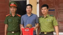 Thả động vật cực kỳ nguy cấp về Vườn Quốc gia Phong Nha - Kẻ Bàng