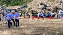 Khởi tố 5 đối tượng liên quan vụ “bứng” bằng lăng cổ thụ ra khỏi rừng