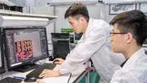 Giải pháp nào để ngăn ngừa tình trạng bài báo khoa học bị rút?