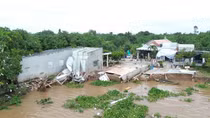 Hiện trường sạt lở nguy hiểm đe dọa cuộc sống của hàng trăm hộ dân ven sông Tiền