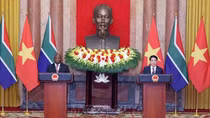 Tuyên bố chung Việt Nam-Nam Phi