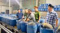 Khởi tố 3 bị can sản xuất giá đỗ bằng hóa chất độc hại
