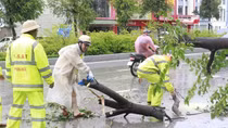 Thiệt hại ban đầu do bão số 5: 3 người chết, hơn 6.800 ngôi nhà tốc mái