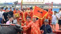 Nghệ nhân, cựu đại tá Công an 91 tuổi lần thứ 3 vô địch lễ hội chọi trâu Đồ Sơn