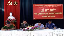 Đà Nẵng tăng cường sử dụng công nghệ và lực lượng chuyên trách bảo vệ rừng