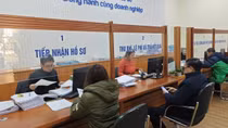 Hải Phòng quá tải hồ sơ xin đăng ký kinh doanh lĩnh vực giáo dục
