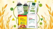 Bộ ba vàng vô cơ – hữu cơ – sinh học của Phú Mỹ - PVFCCo