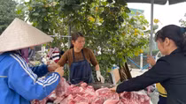 Giá lợn hơi tiếp tục giảm
