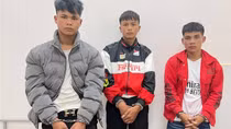 Công an xã bắt nhóm đào trộm hàng trăm gốc sâm Ngọc Linh