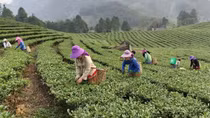 Giải pháp để 75.000 tỷ đồng đến được với các hộ nghèo đúng đối tượng