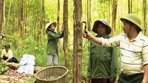 Người mở lối giữa rừng hoang